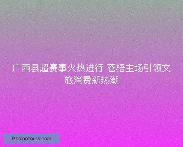 广西县超赛事火热进行 苍梧主场引领文旅消费新热潮