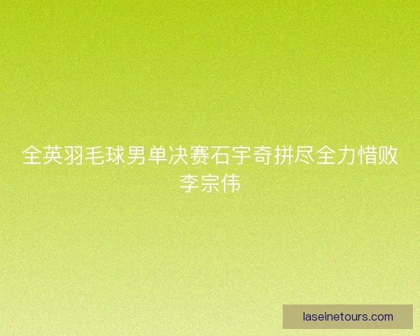 全英羽毛球男单决赛石宇奇拼尽全力惜败李宗伟
